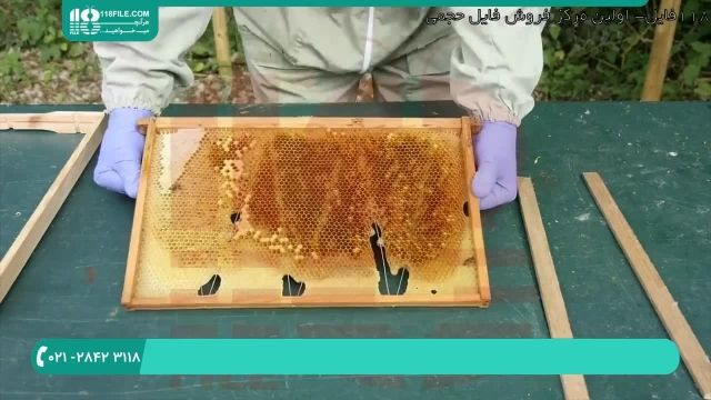 آموزش پرورش ملکه ی زنبور و ساخت کندوی عسل 