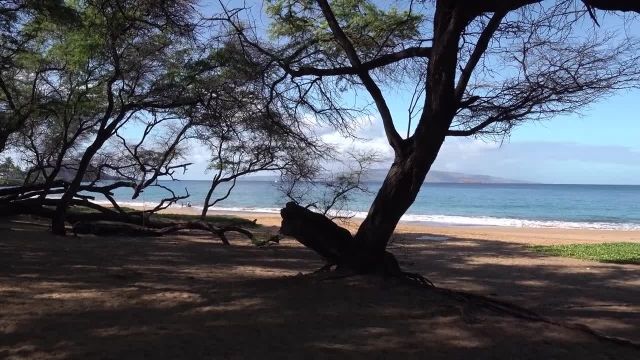 نگاهی به جزیره مائویی در هاوایی