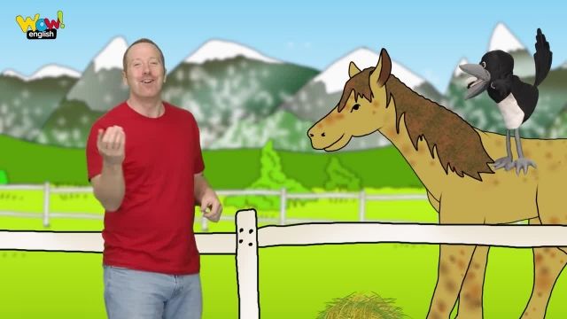 دانلود انیمیشن آموزش زبان انگلیسی استیو و مگی-این داستان : مزرعه حیوانات