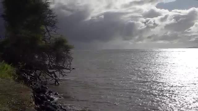 نمایی از جذابیت های جزیره مولوکای در هاوایی