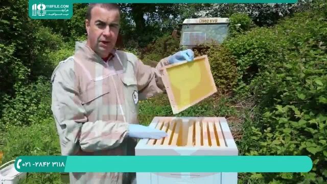 آموزش زنبورداری و ساخت کندو به صورت حرفه ای