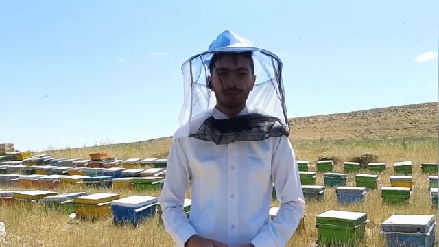 نحوه تولید عسل طبیعی