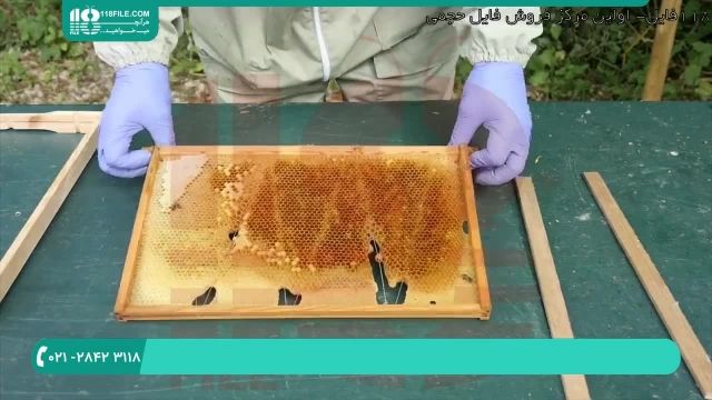 آموزش صفر تا صد زنبورداری ( اجزای داخلی کندو )