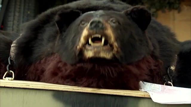 ویدیو دیدنی دوربین مخفی طنز خارجی (just for laughs) - ترسوندن با بدل خرس 