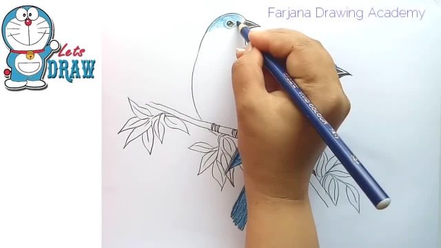 آموزش نقاشی پرنده زیبا و خوشگل