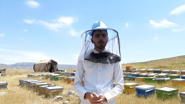 نقش زنبورعسل در کشاورزی