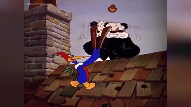دانلود کارتون سریالی دارکوب زبله (Woody Woodpecker) فصل 1 قسمت 1
