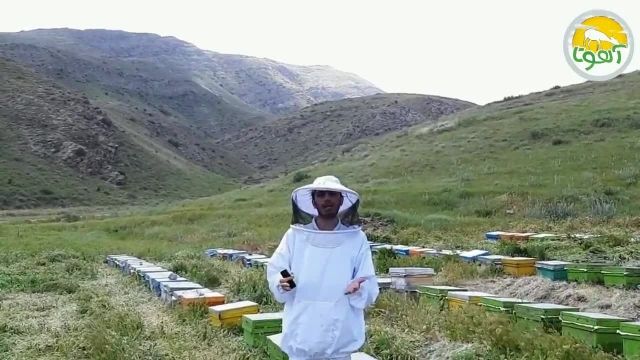 خرید عسل طبیعی از آهوتا