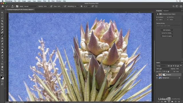 آموزش فتوشاپ برای عکاسان - جایگزین کردن انتخابی بافت ها 