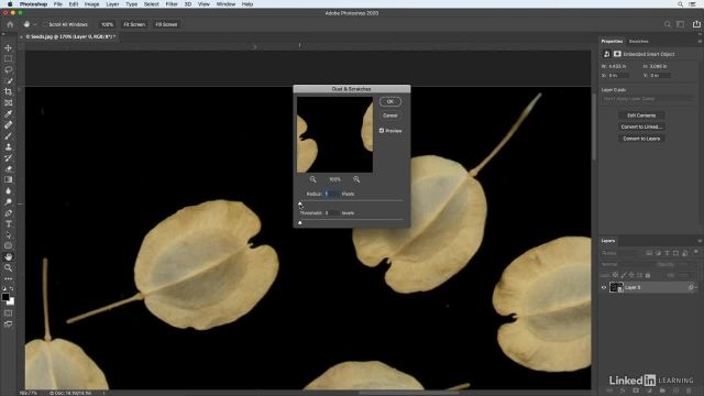 آموزش فتوشاپ برای عکاسان - پاکسازی سریع ایرادات کوچک با فیلتر dust and scratches