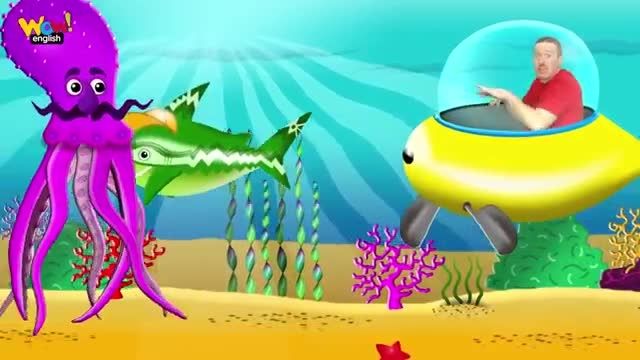 دانلود انیمیشن آموزش زبان انگلیسی استیو و مگی-این داستان :اهنگ کوسه کودک