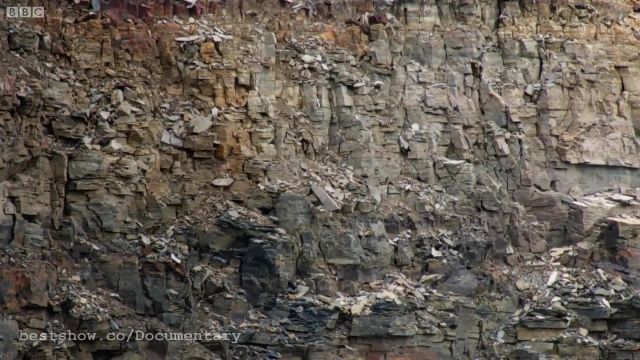 دانلود ویدیو مستند کوتاه -پرشی مرگبار از بالای صخره ها (با ارتفاع 400 فوتی)