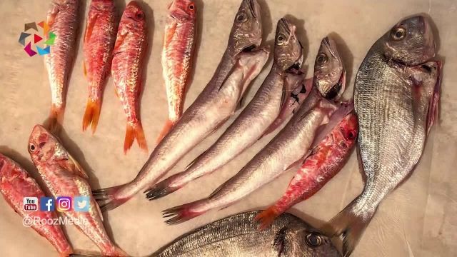 خواص ماهی - اگر هر روز ماهی بخورید، چه اتفاقاتی در بدن شما رخ خواهد داد؟
