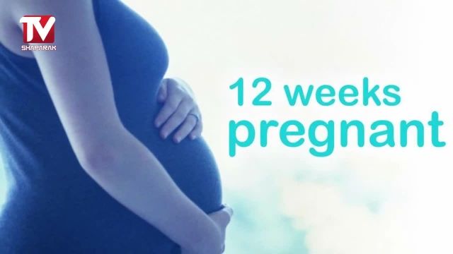 مراقبت های هفته به هفته بارداری - هفته دوازدهم بارداری
