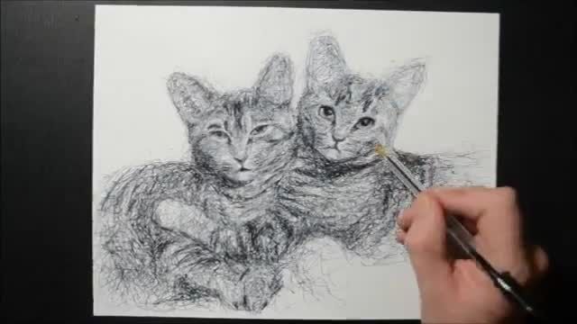 طراحی با خودکار دو گربه