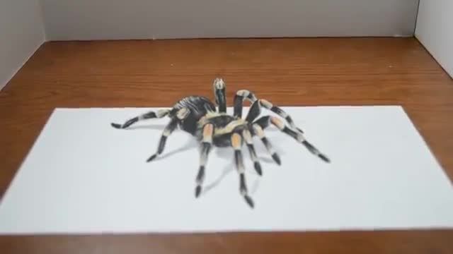نقاشی سه بعدی عنکبوت