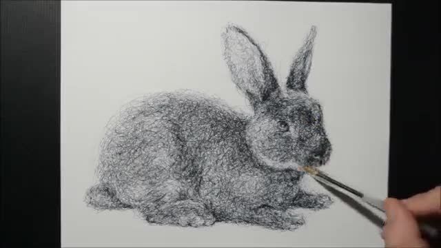 طراحی با خودکار خرگوش