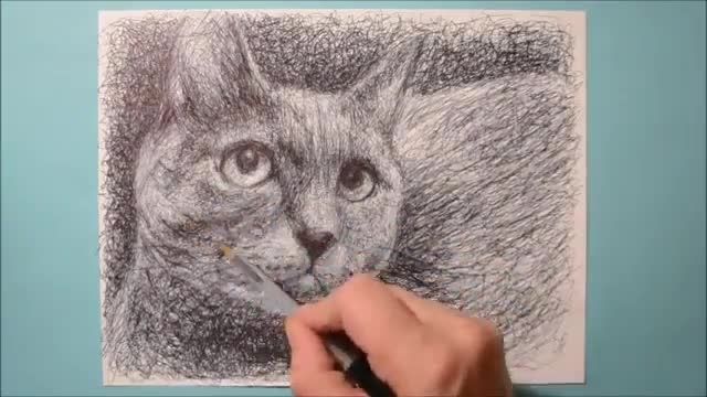 طراحی با خودکار گربه 3