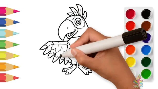 آموزش کشیدن نقاشی  طوطی کارتونی به کودکان