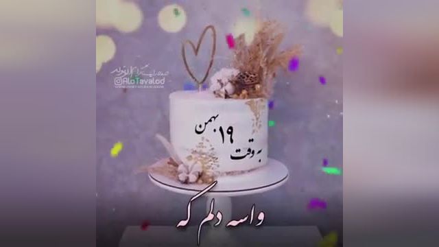 دانلود کلیپ تبریک تولد 19 بهمن برای وضعیت واتساپ