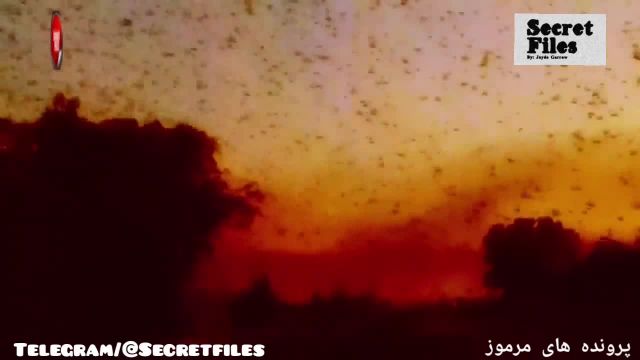 ویدیوهای واقعی از نشانه‌های حقیقی وقوع آخرالزمان (شکار دوربین 45)