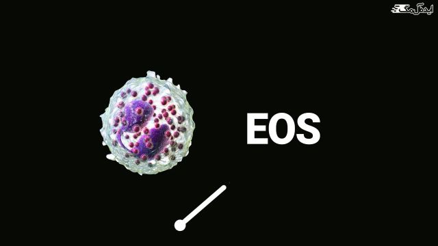 EOS در آزمایش خون چیست؟