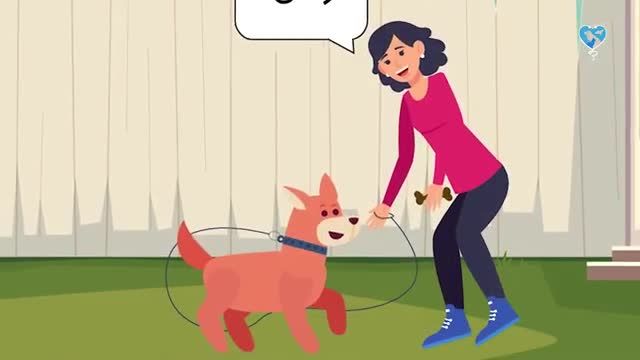 آموزش تربیت کردن سگ - آموزش 3 فرمان مهم و مقدماتی برای یادگیری