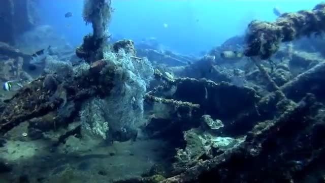 کلیپ بسیار جذاب شگفتی های دنیای زیر آب !