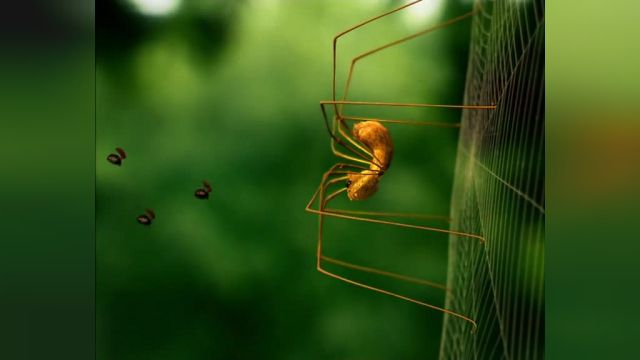 دانلود انیمیشن زندگی خصوصی حشرات قسمت پنجاه وشش