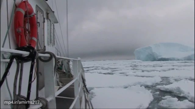 دانلود مستند حیات وحش در قطب جنوب - قسمت دوم