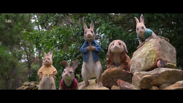 دانلود فیلم انیمیشن پیتر خرگوشه 2018 با دوبله فارسی Peter Rabbit 2018