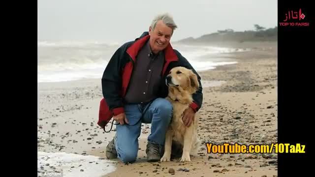 کلیپ معرفی باهوش ترین سگ های دنیا !