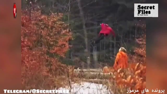 ویدیوی واقعی پرواز کردن دختر بچه در جنگلهای روسیه (شکار دوربین _ قسمت 38)