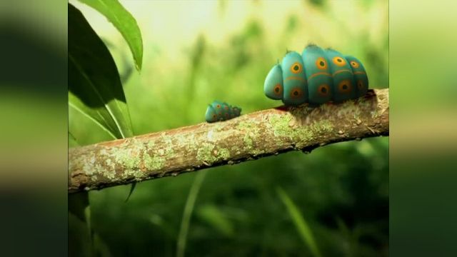 دانلود انیمیشن زندگی خصوصی حشرات قسمت شش