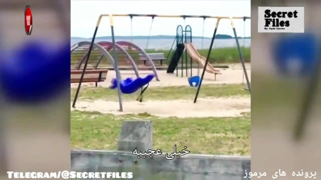 ویدیوی واقعی ترسناک از پارک بازی تسخیر شده توسط ارواح (شکار دوربین _ قسمت 50)