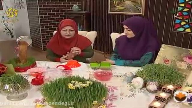 آموزش درست کردن انواع سبزه برای عید نوروز - دستور کاشت سبزه عید 1400 !