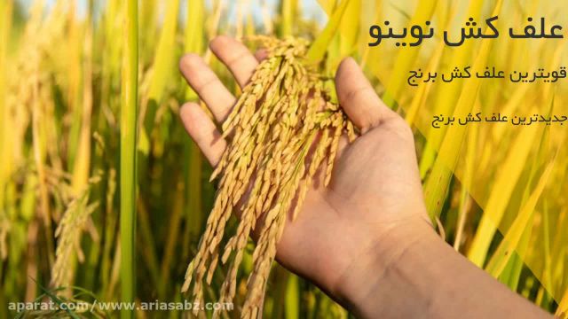 علف کش نوینو، قویترین مبارزه شیمیایی با علف های هرز برنج