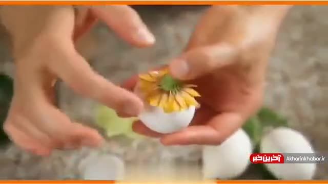 چگونه تخم مرغ رنگی عید نوروز را درستن کنیم ؟