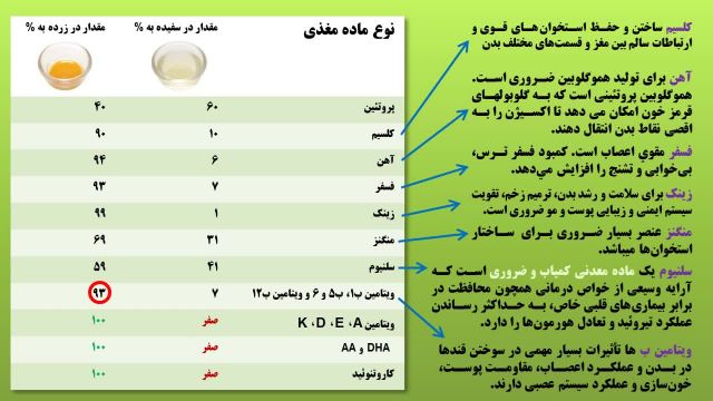 نشانه های تخم مرغ سالم چیست؟ راه های تشخیص تخم مرغ سالم !