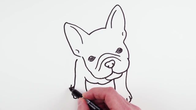 آموزش تصویری نقاشی به زبان ساده برای کودکان - (نقاشی سگ بولداگ فرانسوی)