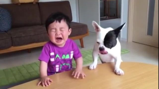 کلیپ بسیار زیبا و بامزه بازی سگ لوس با نوزاد !