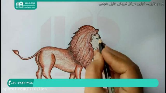 آموزش تصویری نقاشی به زبان ساده برای کودکان - (نقاشی شیر وحشی)