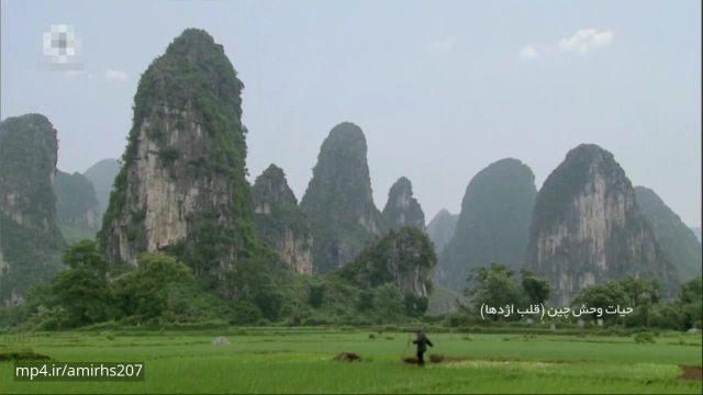 دانلود مستند بسیار زیبا حیات وحش چین - قسمت اول (قلب اژدها)