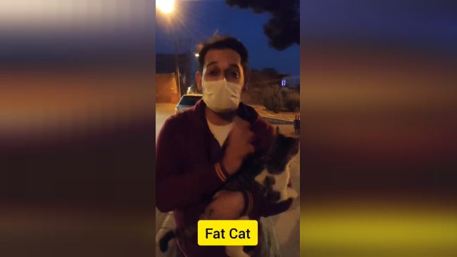 آموزش fat cat - استاد محمد بوژمهرانی