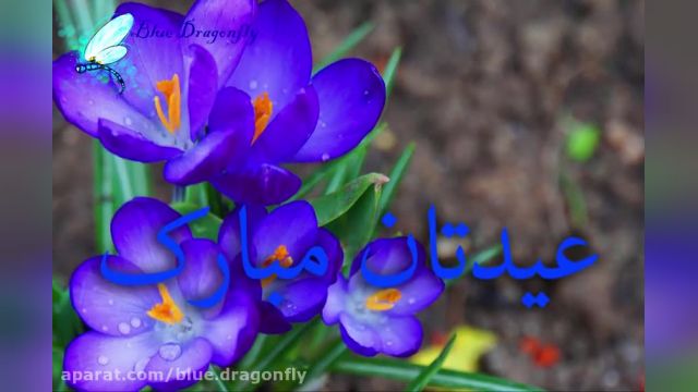 دانلود کلیپ زیبا تبریک عید مبعث - ویدیو بسیار زیبا درباره جشن مبعث