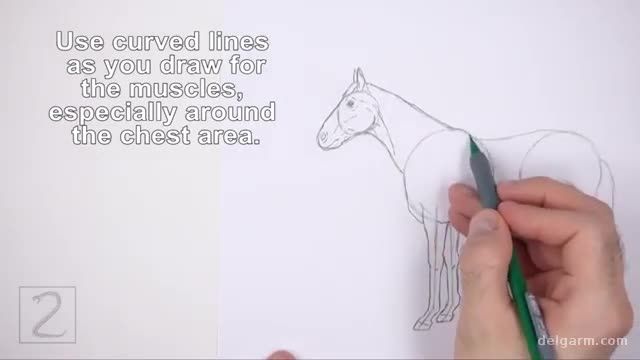 آموزش کشیدن نقاشی و طراحی اسب به کودکان