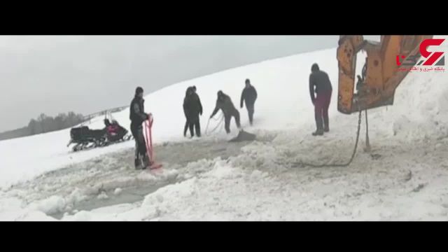 ویدیو نجات دادن یک گله اسب از داخل رودخانه یخ زده !