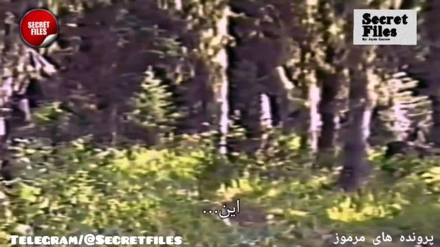 معروفترین ویدیوی واقعی پاگنده در جنگلهای آمریکا (شکار دوربین _ قسمت 42)