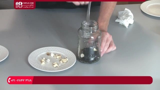 آموزش پرورش قارچ - نحوه پرورش آسان و ارزان قارچ های صدفی با استفاده از قهوه 