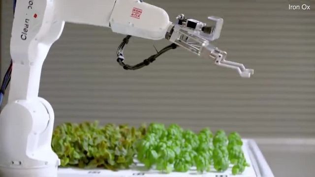 پرورش گیاهان با استفاده از ربات توسط یک شرکت استارت آپی کشاورزی | ویدیو 